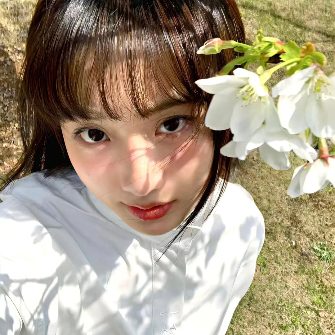 丑小鸭的天鹅湖海报